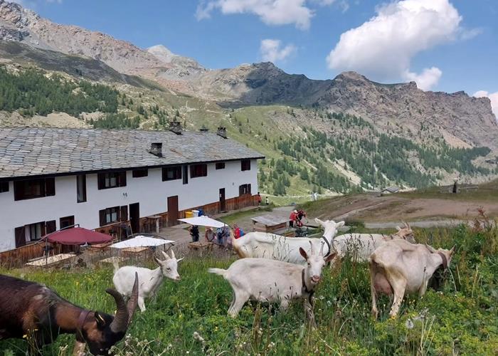 Rifugio Dondena