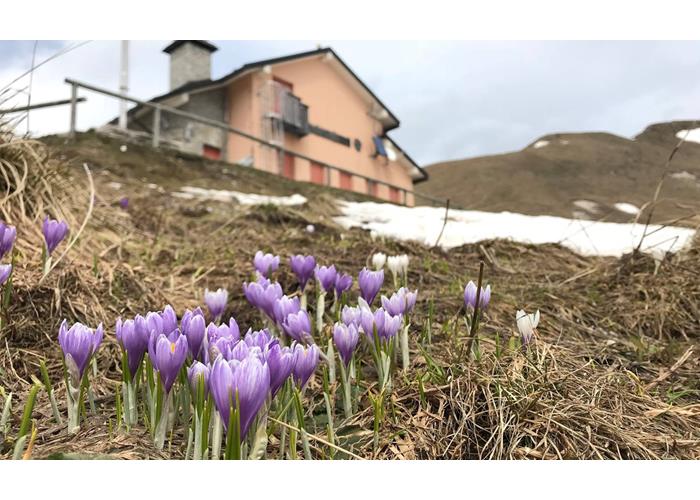 La tarda primavera al rifugio Dal Piaz.